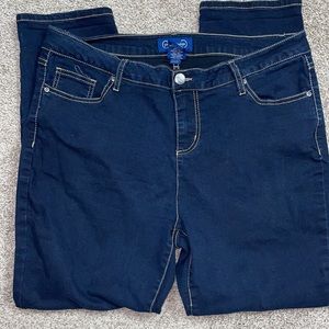 Project Indigo Jeans